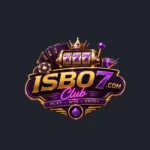 ISBO7 Game